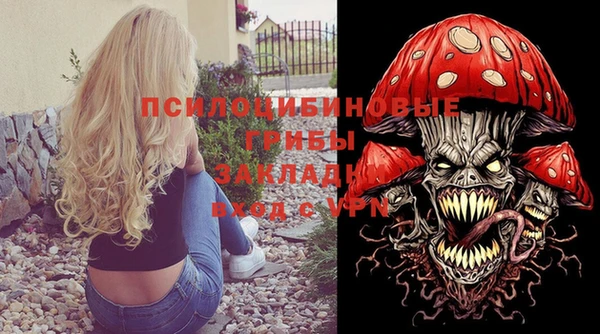 хмурый Богородицк